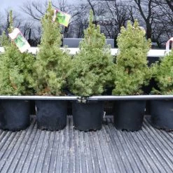 Hot Sale 🎉 CargoSmart Trailer Accessories 40-70In Adjustable Ratcheting Cargo Bar 👏 -Automotive Sales 08175602